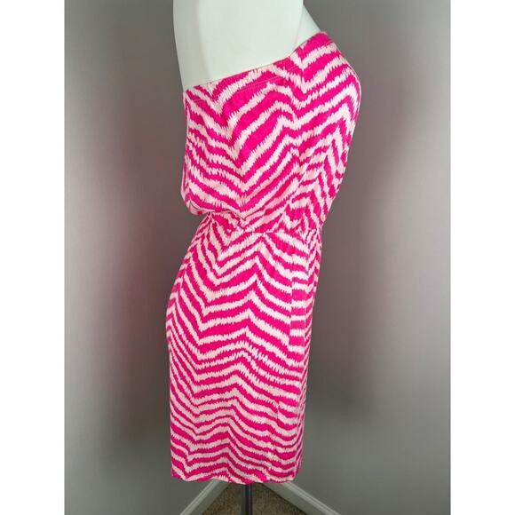 Lilly Pulitzer Pima Cotton Tropical Pink Zebron Windsor Strapless Dress XS - Picture 3 of 7